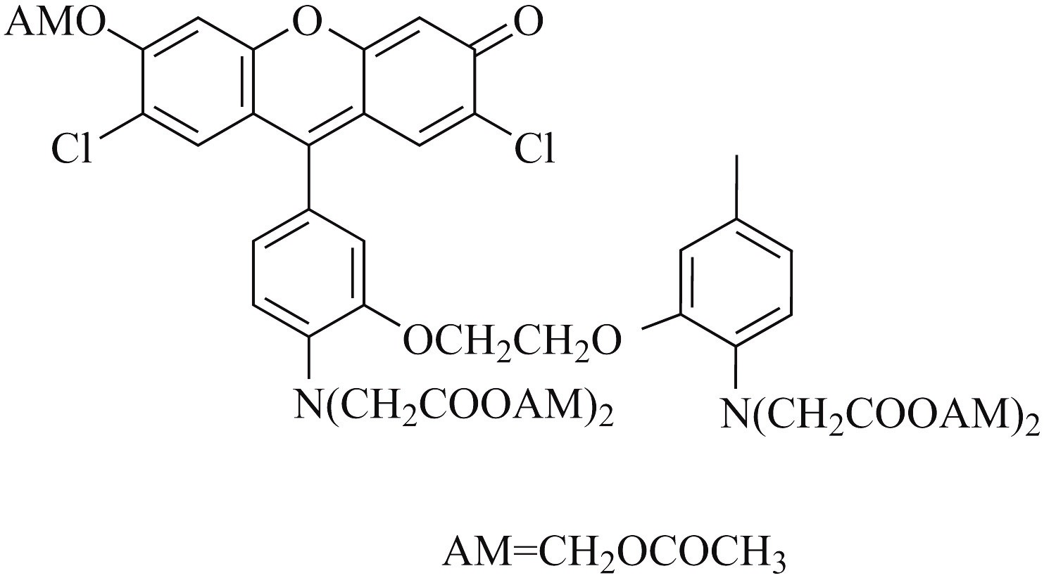 Fluo-3, AM ester（钙离子荧光探针, 2mM） 货号:               F3015  规格:               50 μL