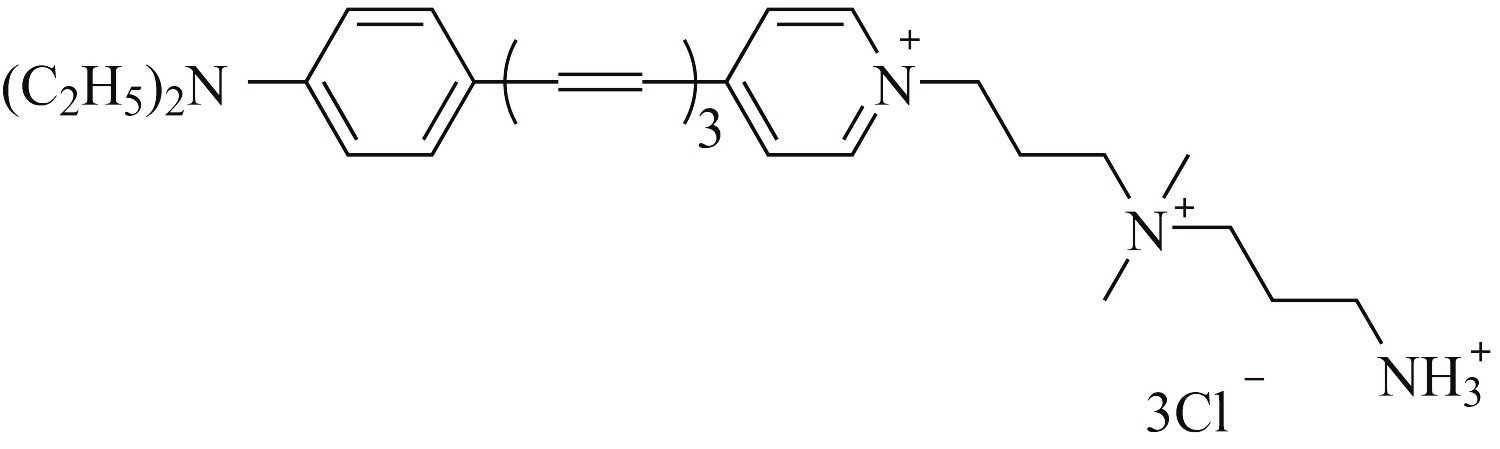 NM4-64神经元荧光探针 货号:               N4072  规格:               1 mg