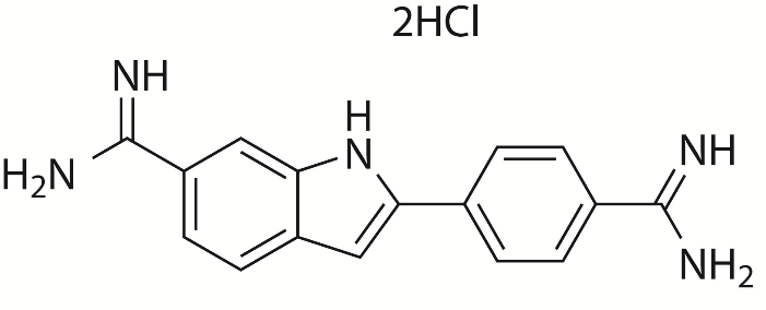 DAPI染色液（即用型） 货号:               D4080  规格:               10 mL